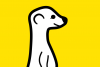 meerkat lg